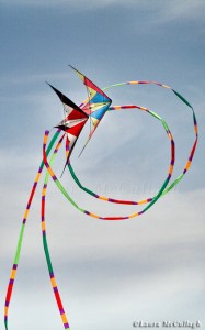 International kite festival