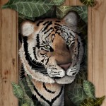 Tiger for illustration Friday