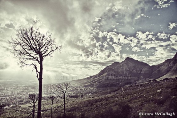 Table Mountain: wintry view