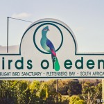 Birds of Eden