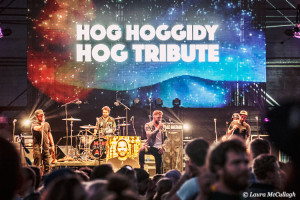 Hog Hoggidy Hog