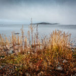 Abisko: Lake Torneträsk