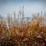 Abisko: Lake Torneträsk