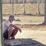 a handler with a cheetah before an encounter